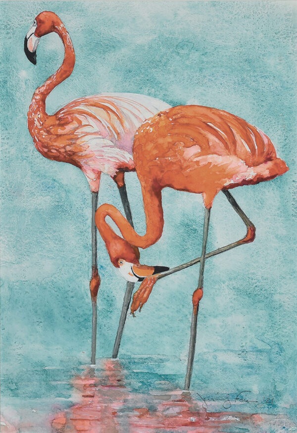 Fais - Flamingo Toes