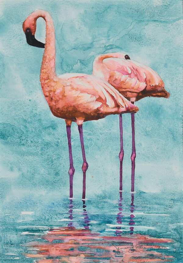 Jennifer Fais - Flamingos Noontime Nap